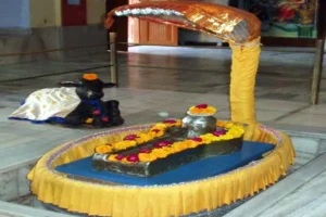 Parad Shivling in Haridwar