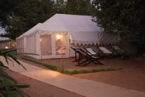 Deluxe Maharaja Tent Night View